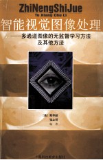 智能视觉图像处理 多通道图像的无监督学习方法及其他方法