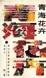 青海花卉