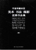 宁波市鄞州区美术 书法 摄影优秀作品集 中