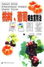 桃树 葡萄病虫害防治原色图鉴