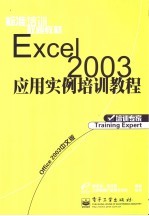 Excel 2003应用实例培训教程