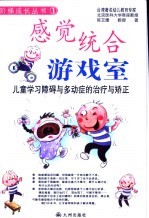 感觉统合游戏室 儿童学习障碍与多动症的治疗与矫正