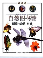 自然图书馆 鸟与昆虫篇 蝴蝶·晴蜓·蜜蜂