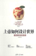 上帝如何设计世界 爱因斯坦的困惑