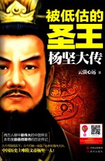 被低估的圣王 杨坚大传