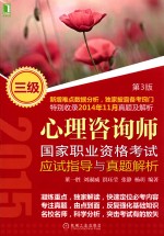 心理咨询师国家职业资格考试应试指导与真题解析 三级