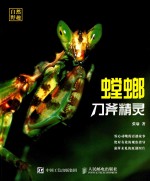 自然野趣 刀斧精灵 螳螂
