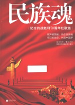 民族魂 纪念抗战胜利70周年红歌选
