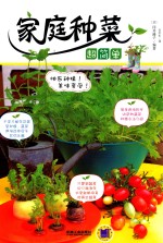 家庭种菜超简单