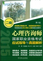 心理咨询师国家职业资格考试应试指导与真题解析 二级