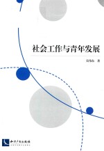 社会工作与青年发展