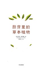 厨房里的草本植物
