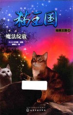 猫王国 暗黑王国 4 魔法绽放