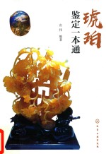 琥珀鉴定一本通