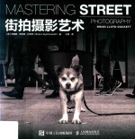 街拍摄影书 街拍摄影艺术