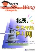 北辰:今天开始学上网