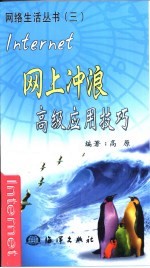 网上冲浪高级应用技巧