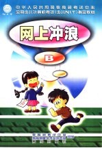网上冲浪 B