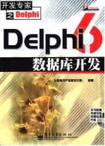 Delphi 6数据库开发