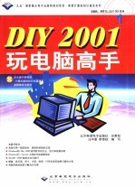 DIY 2001玩电脑高手