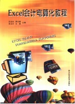 Excel会计电算化教程