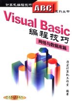 Visual Basic编程技巧 网络与数据库篇