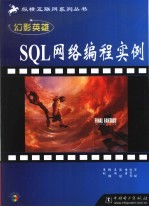 SQL网络编程实例