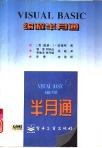 Visual Basic编程半月通