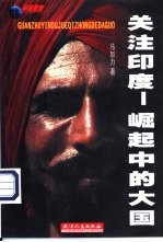 关注印度 崛起中的大国