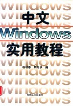 中文Windows实用教程