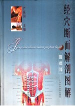 经穴断面解剖图解 腹盆部