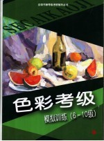 色彩考级模拟训练 6-10级