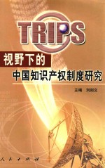 TRIPS视野下的中国知识产权制度研究