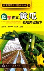 图说棚室黄瓜栽培关键技术