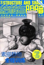 结构与明暗 素描静物全程训练