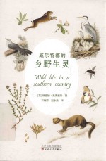 威尔特郡的乡野生灵