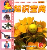 晚安宝贝知识宝典 幼儿版 春