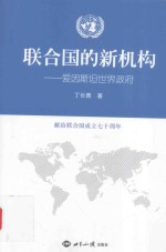 联合国的新机构 爱因斯坦世界政府