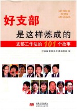 好支部是这样炼成的 支部工作法的101个故事