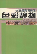 快速提高训练法 色彩静物
