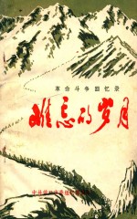 革命斗争回忆录 难忘的岁月