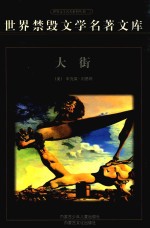 世界禁毁文学名著文库 大街 下