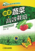 高效种植致富直通车 棚室蔬菜高效栽培