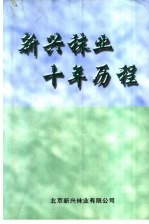 新兴袜业十年历程