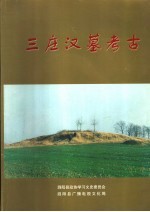 三庄汉墓考古