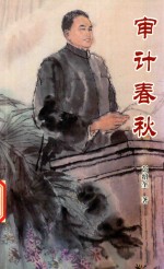 审计春秋 长篇小说