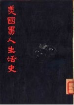 美国黑人生活史