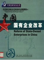 中改院中德合作项目研究成功集锦 国有企业改革