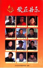 爱在丹东 第十五届爱心奖先进事迹汇编
