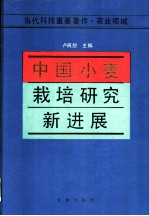 中国小麦栽培研究新进展